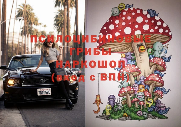 прущий лед Каменка