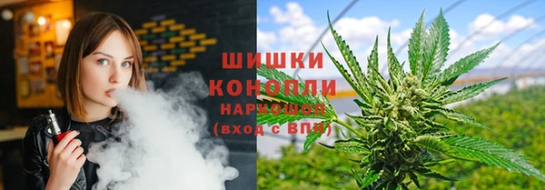 прущий лед Каменка
