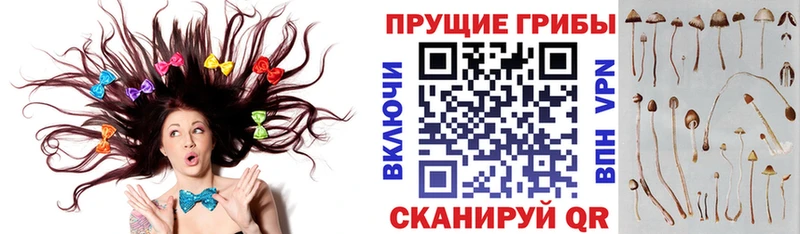 Псилоцибиновые грибы MAGIC MUSHROOMS  Купить  Лангепас 